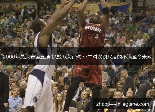 2006年总决赛第五场韦德25次罚球 小牛对吹罚尺度的不满至今未散